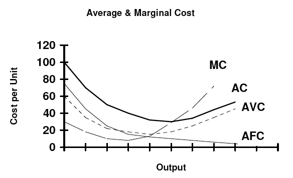 accounting for amazon sellers