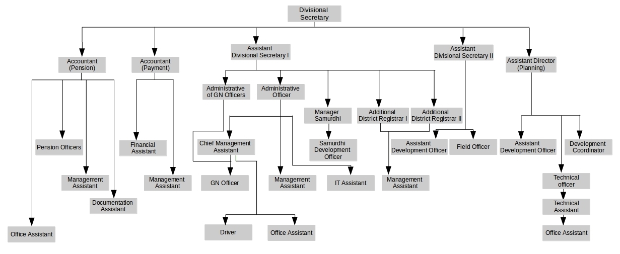 divisional organization