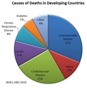 burden rate